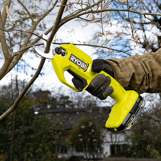 Secateurs in use